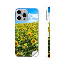 iPhone14 iPhone15 用 スキンシール 全面スキンシール フル 背面 側面 ステッカー 保護シール iphone14plus iphone14pro iphone14promax iphone15plus iphone15pro iphone15promax 各種対応 写真 花 向日葵 ひまわり 007936