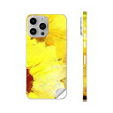 iPhone14 iPhone15 用 スキンシール 全面スキンシール フル 背面 側面 ステッカー 保護シール iphone14plus iphone14pro iphone14promax iphone15plus iphone15pro iphone15promax 各種対応 ひまわり 黄色 絵画 012204
