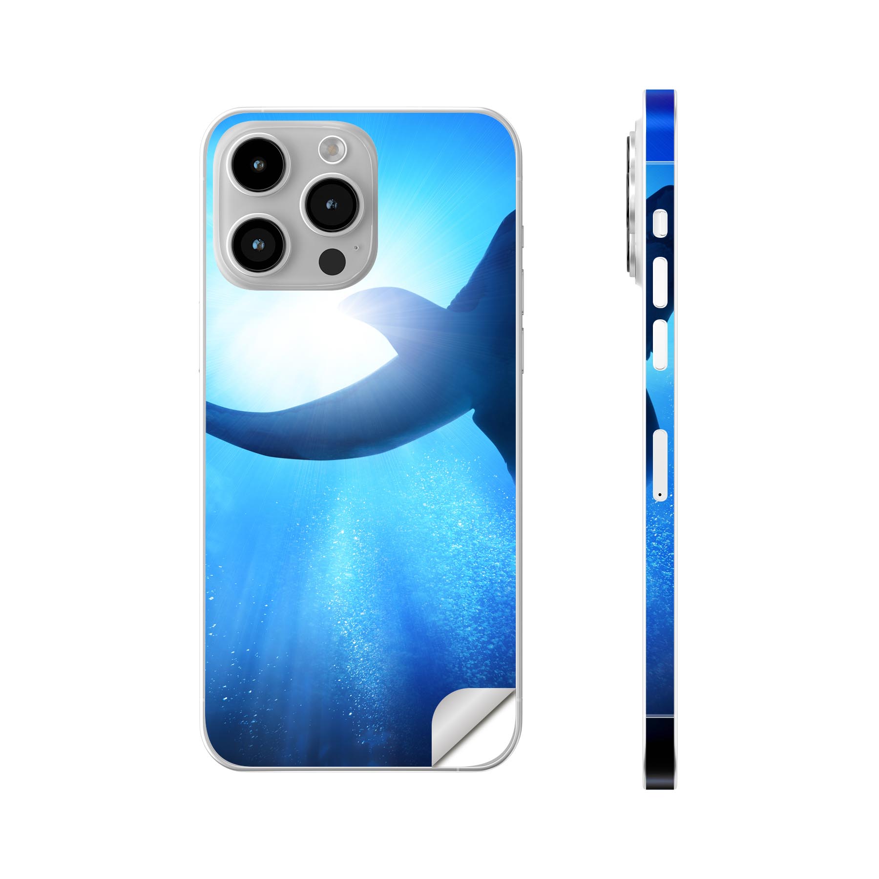 iPhone14 iPhone15 用 スキンシール 全面スキンシール フル 背面 側面 ステッカー 保護シール iphone14plus iphone14pro iphone14promax iphone15plus iphone15pro iphone15promax 各種対応 魚　くじら　海　012652