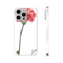 iPhone14 iPhone15 用 スキンシール 全面スキンシール フル 背面 側面 ステッカー 保護シール iphone14plus iphone14pr...