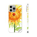 iPhone14 iPhone15 用 スキンシール 全面スキンシール フル 背面 側面 ステッカー 保護シール iphone14plus iphone14pro iphone14promax iphone15plus iphone15pro iphone15promax 各種対応 ひまわり 夏 サン 017807