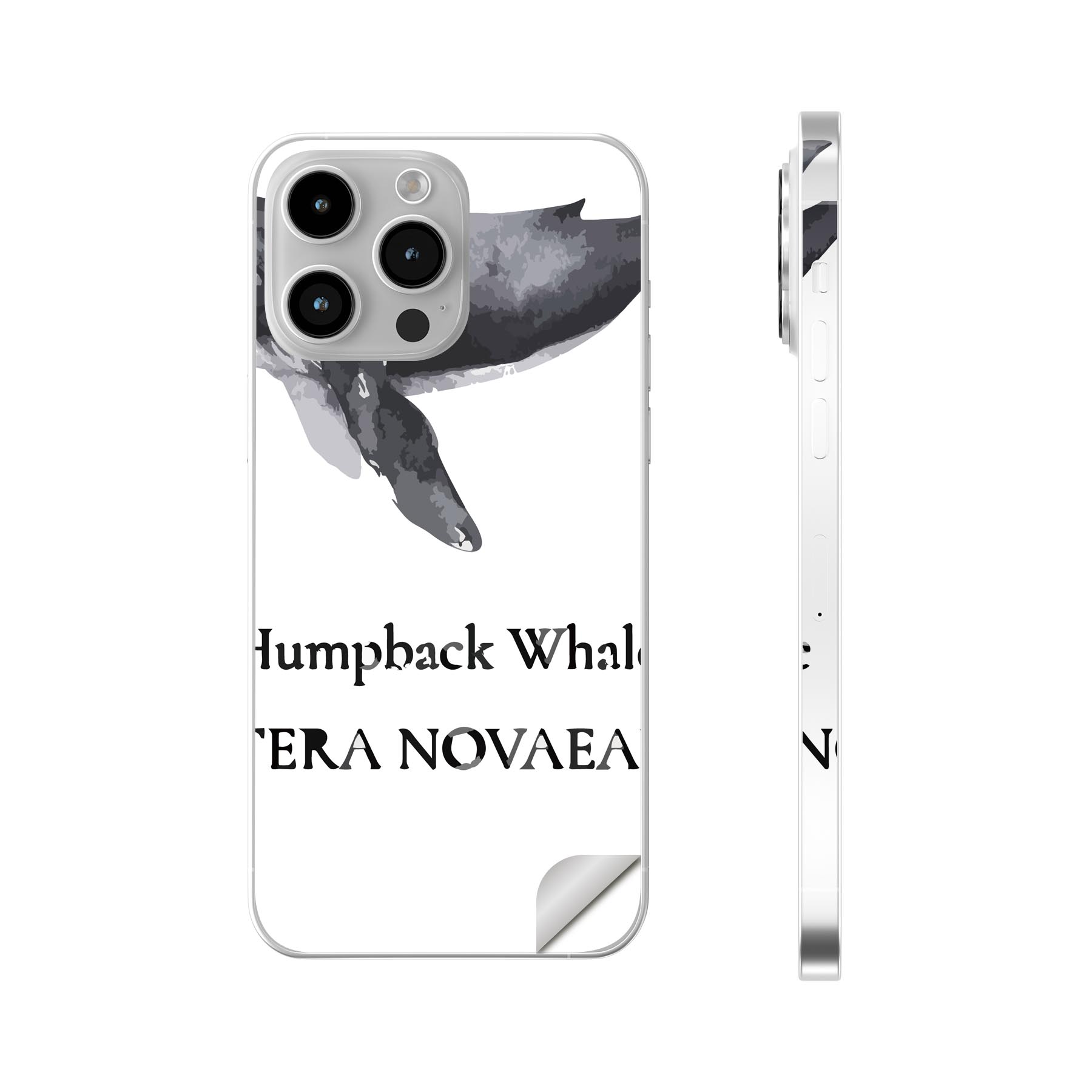iPhone14 iPhone15 用 スキンシール 全面スキンシール フル 背面 側面 ステッカー 保護シール iphone14plus iphone14pro iphone14promax iphone15plus iphone15pro iphone15promax 各種対応 海の生物 ザトウクジラ Humpback whale 019740