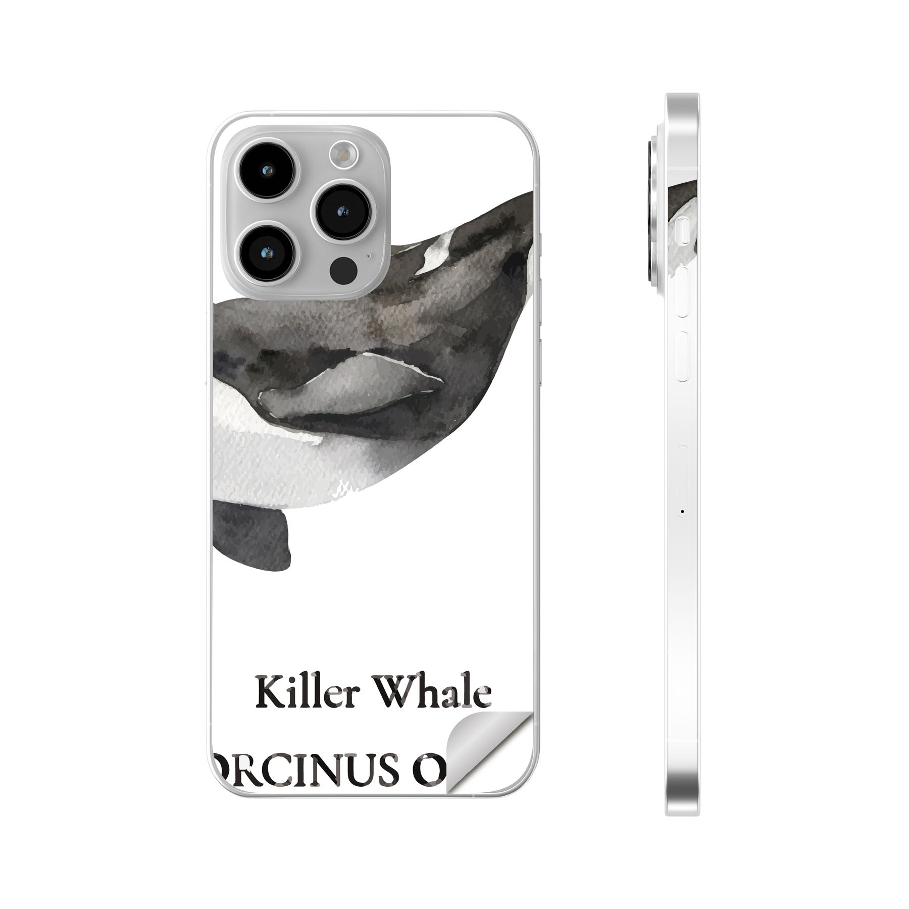 iPhone14 iPhone15 用 スキンシール 全面スキンシール フル 背面 側面 ステッカー 保護シール iphone14plus iphone14pro iphone14promax iphone15plus iphone15pro iphone15promax 各種対応 海の生物 シャチ killer whale　019743