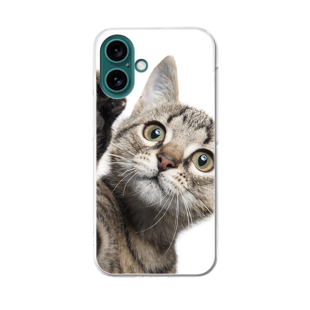 iPhone16plus 6.7インチ 専用 各キャリア iPhone 16 plus 共通対応 ハード ケース iphone16plus ケース カバー 002674 猫 動物 写真