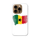 iPhone16pro 6.3インチ 専用 各キャリア iPhone 16 pro 共通対応 ハード ケース iphone16pro 対応 ケース カバー 018834 ghana ガーナ