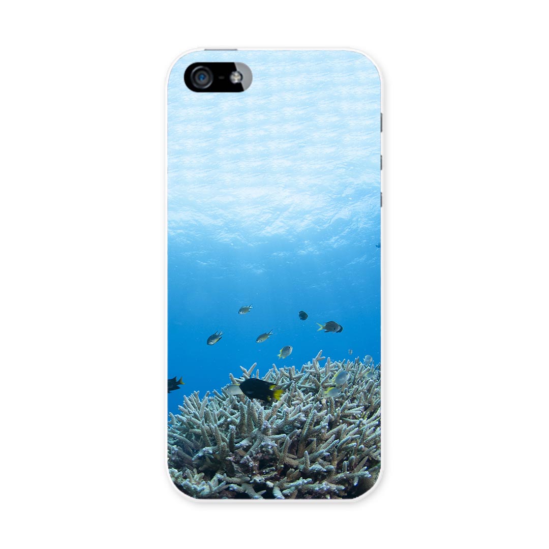 iphone5au iPhone 5 アイフォーン APPLE au エーユー スマホ カバー ケース スマホケース スマホカバー TPU ソフトケース 海　魚　自然　サンゴ アニマル 000060