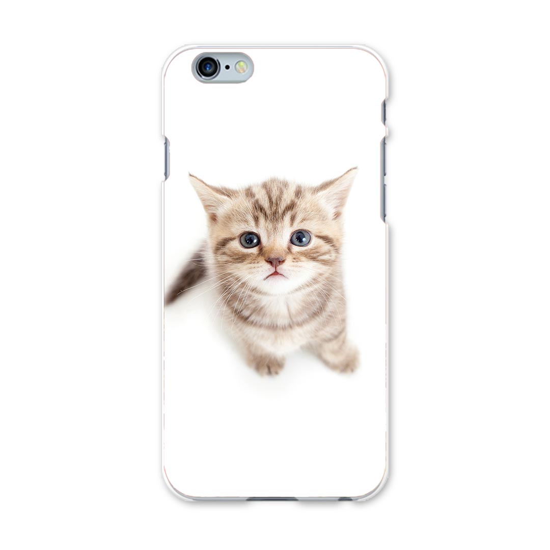 iPhone6plus iPhone6 plus アイフォーン APPLE softbank ソフトバンク スマホ カバー ケース スマホケース スマホカバー TPU ソフトケース ネコ　動物 アニマル 001194