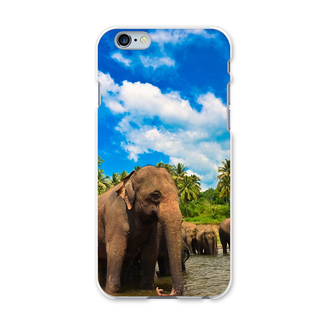 iphone6plus iPhone6s plus アイフォーン APPLE softbank ソフトバンク スマホ カバー ケース スマホケース スマホカバー PC ハードケース 動物　写真 アニマル 002539