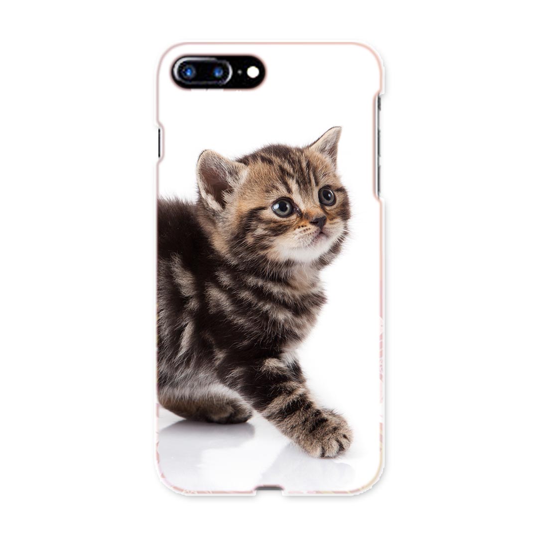 iphone7plus iphone7 plus softbank ソフトバンク スマホ カバー ケース スマホケース スマホカバー PC ハードケース 写真　動物　猫　ねこ アニマル 写真・風景 005930