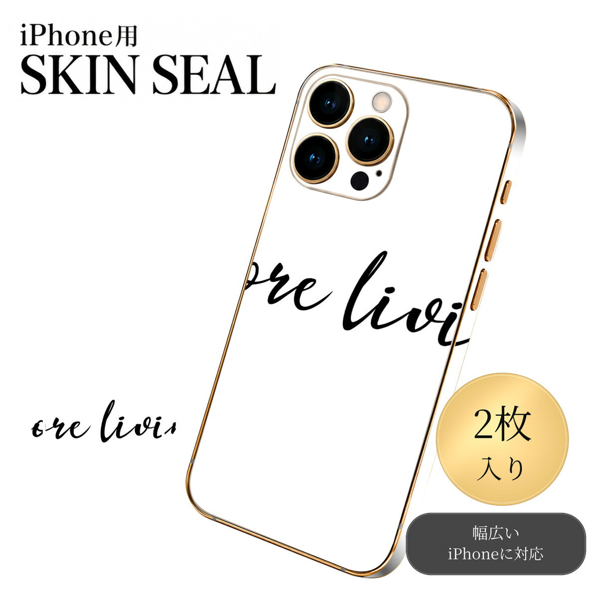 iPhone 用 デザインスキンシール 対応 2枚入り カバー デコレーション アクセサリー デコシール 高品質再剥離性シート 025161 格言