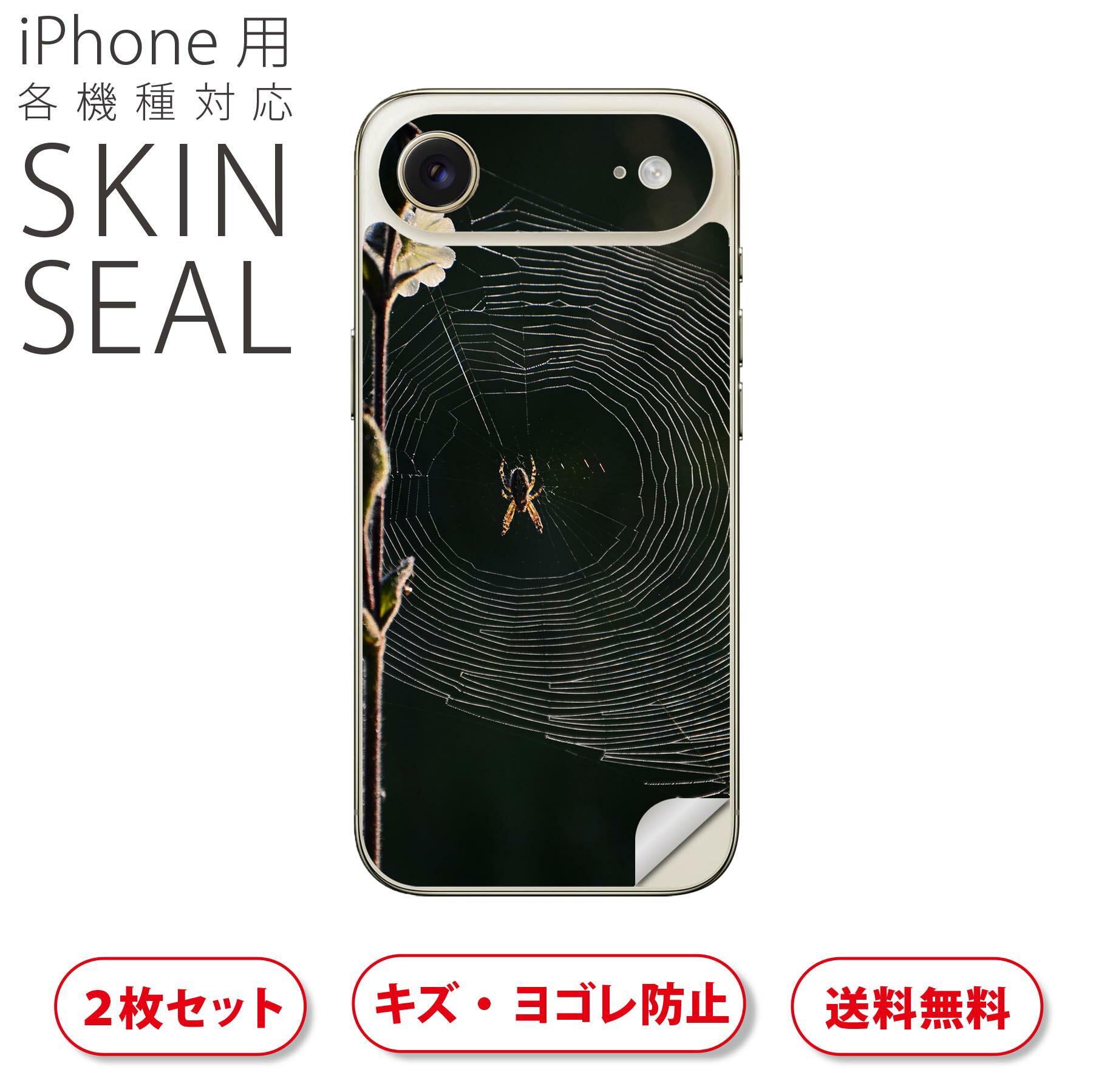 iPhone 用 デザインスキンシール 対応 2枚入り カバー デコレーション アクセサリー デコシール 高品質再剥離性シート 023820 くもの巣　自然...