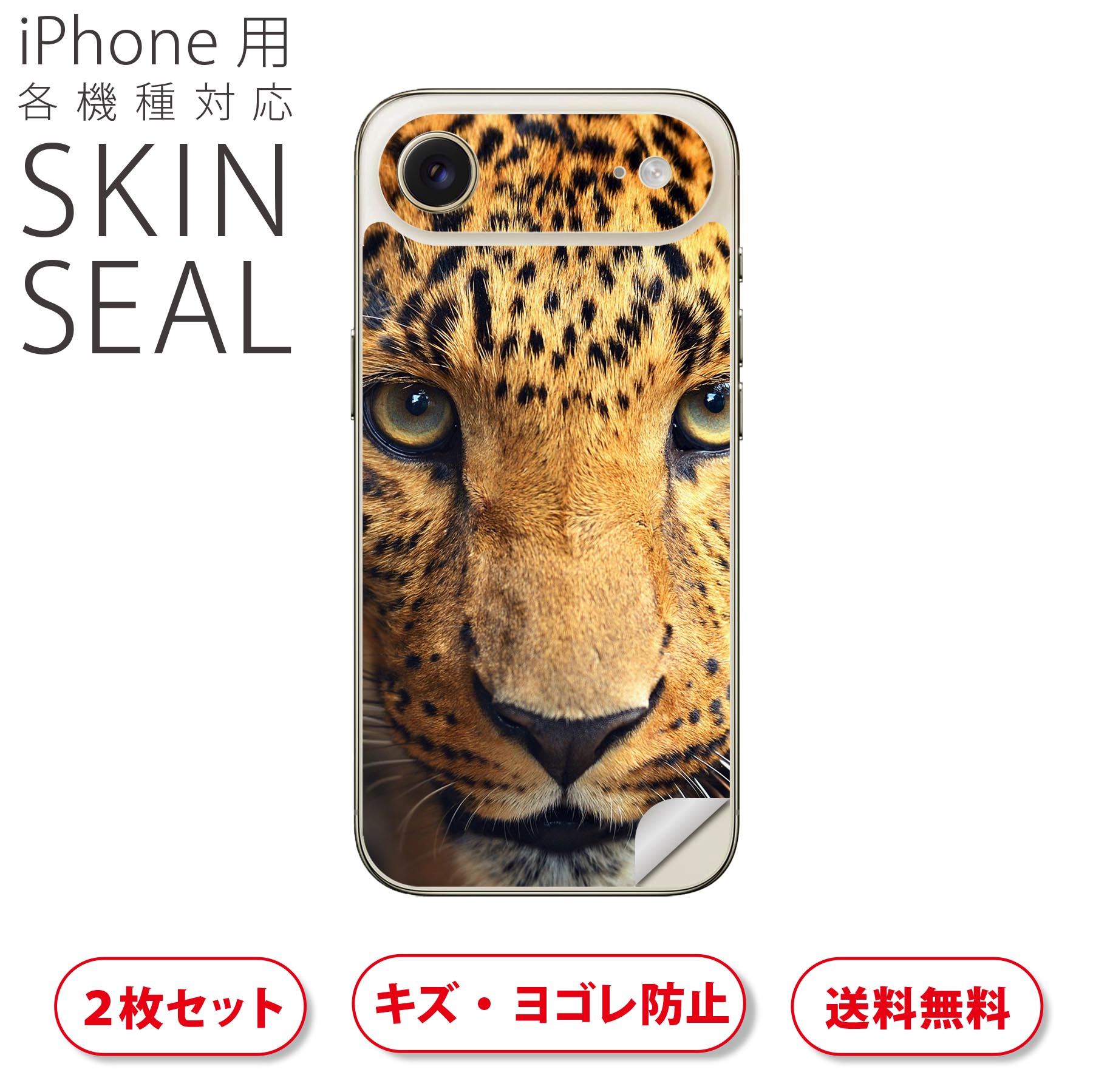 iPhone 用 デザインスキンシール 対応 2枚入り カバー デコレーション アクセサリー デコシール 高品質再剥離性シート 004522 動物　写真