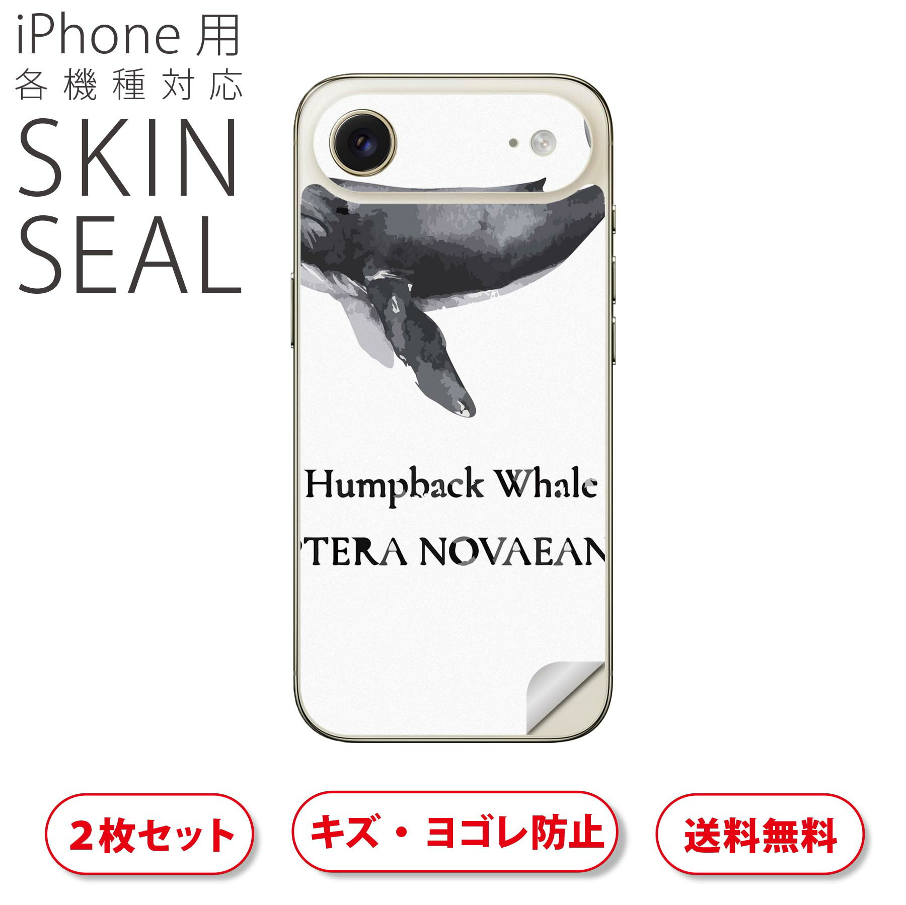 iPhone 用 デザインスキンシール 対応 2枚入り カバー デコレーション アクセサリー デコシール 高品質再剥離性シート 019740 海の生物 ザトウクジラ Humpback whale