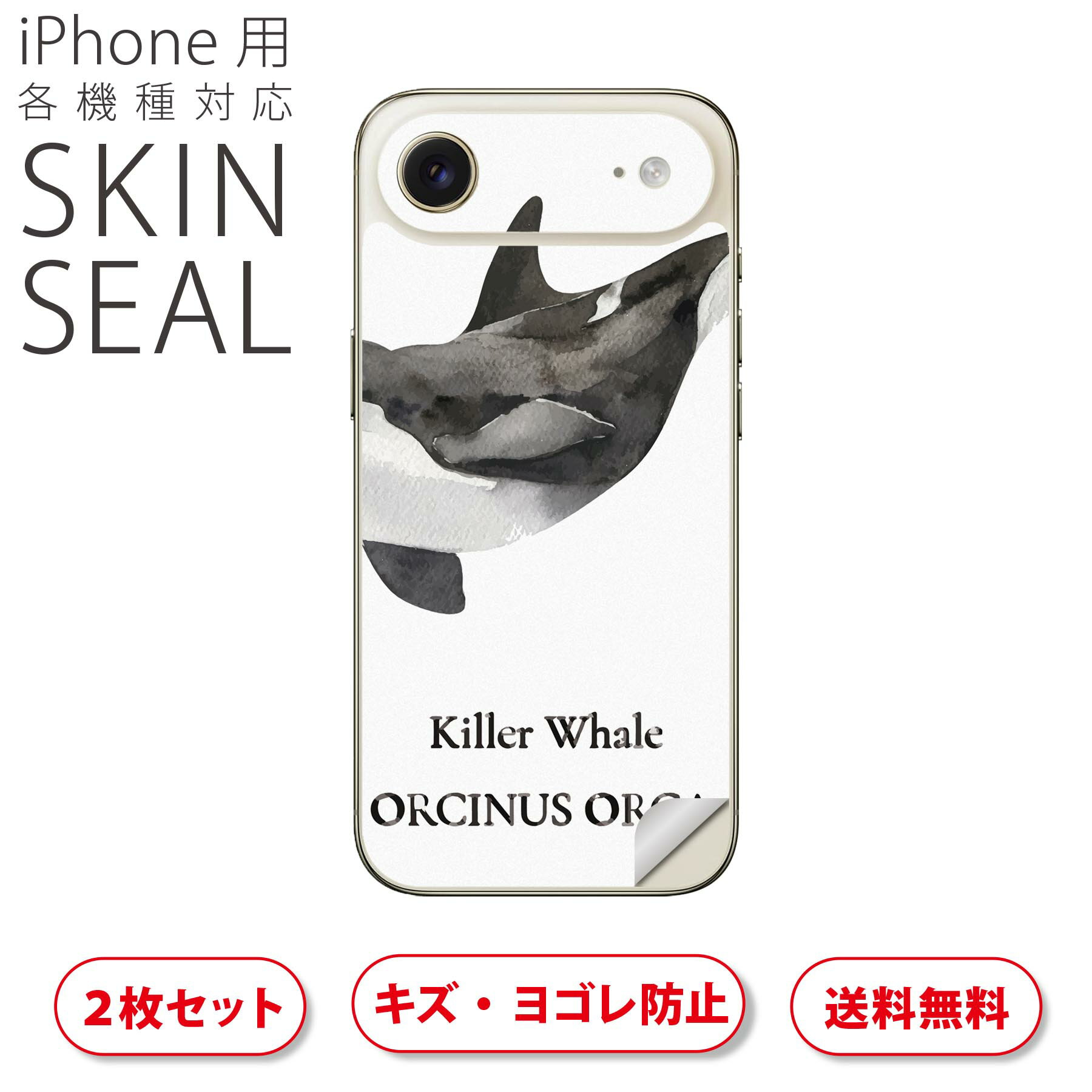 iPhone 用 デザインスキンシール 対応 2枚入り カバー デコレーション アクセサリー デコシール 高品質再剥離性シート 019743 海の生物 シャチ killer whale