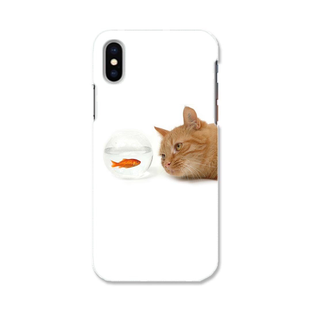iphone XR iPhone 10r アイフォーン エックスアール テンアール iphonexr 専用ソフトケース スマホカバー カバー ケース tpu ソフト ケース 002741 猫　動物　写真
