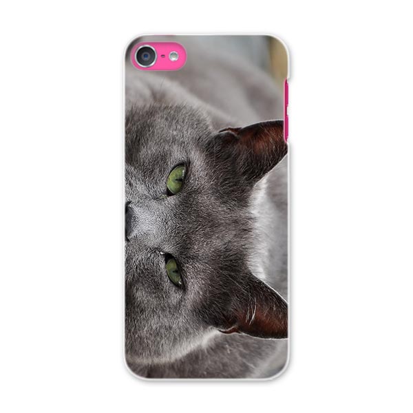 iPod touch 7(2019)/6(2015) アイポッドタッチ 第7世代 第6世代 対応 ケース スマホ カバー スマホケース スマホカバー PC ハードケース 002650 猫　動物　写真