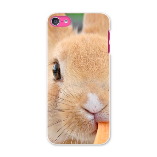 iPod touch 7(2019)/6(2015) アイポッドタッチ 第7世代 第6世代 対応 ケース スマホ カバー スマホケース スマホカバー PC ハードケース 002807 うさぎ　動物　写真