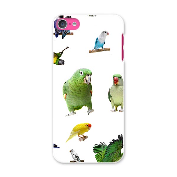 iPod touch 7(2019)/6(2015) アイポッドタッチ 第7世代 第6世代 対応 ケース スマホ カバー スマホケース スマホカバー PC ハードケース 003163 鳥　動物　写真