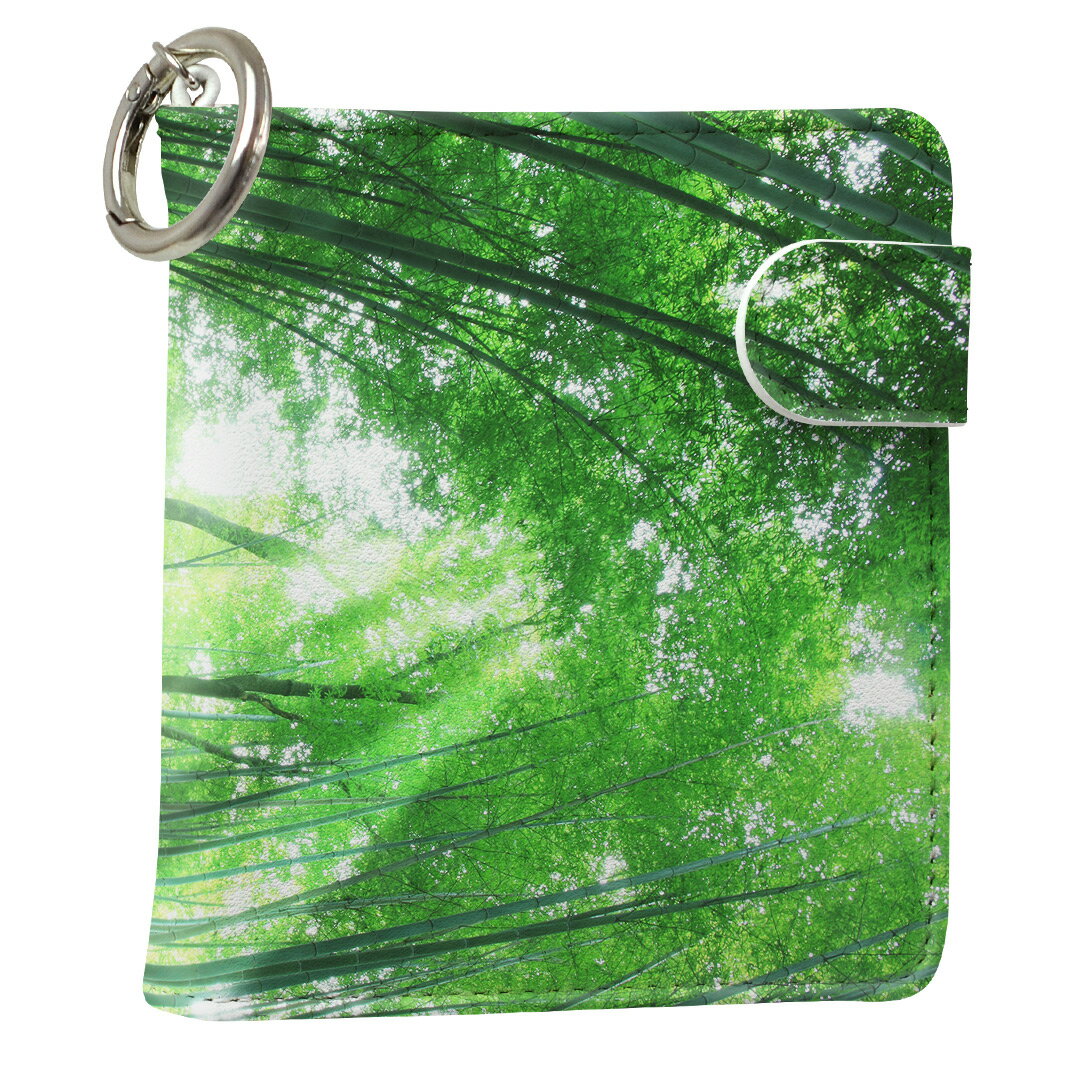 「宅配便専用」iQOS アイコス 専用 レザーケース 従来型 / 新型 2.4PLUS スクエア 手帳型 両対応 タバコ ケース カバー 合皮 クリーナー 収納 アイコスケース デザイン 004996 写真・風景 革 iqos005nb