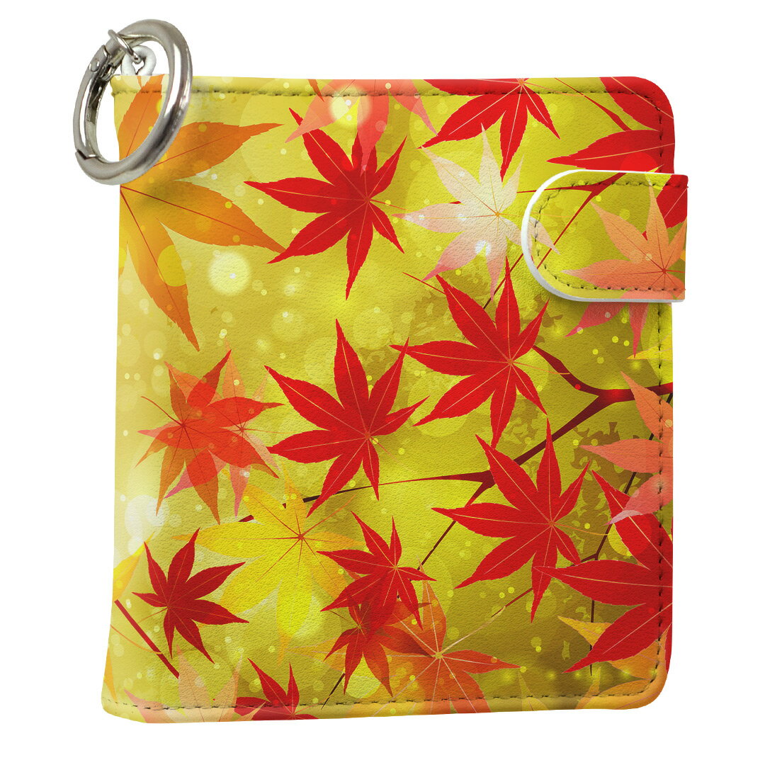 「宅配便専用」iQOS アイコス 専用 レザーケース 従来型 / 新型 2.4PLUS スクエア 手帳型 両対応 タバコ ケース カバー 合皮 クリーナー 収納 アイコスケース デザイン 005455 写真・風景 革 iqos005nb