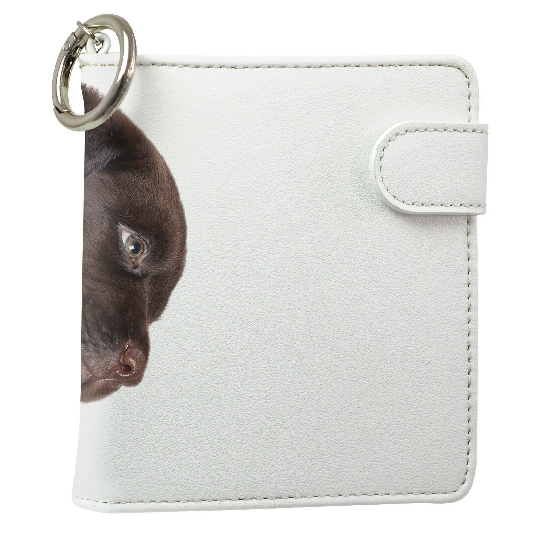 「宅配便専用」iQOS アイコス 専用 レザーケース 従来型 / 新型 2.4PLUS スクエア 手帳型 両対応 タバ..