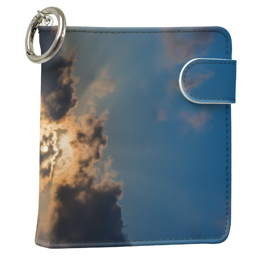 「宅配便専用」iQOS アイコス 専用 レザーケース 従来型 / 新型 2.4PLUS スクエア 手帳型 両対応 タバ..