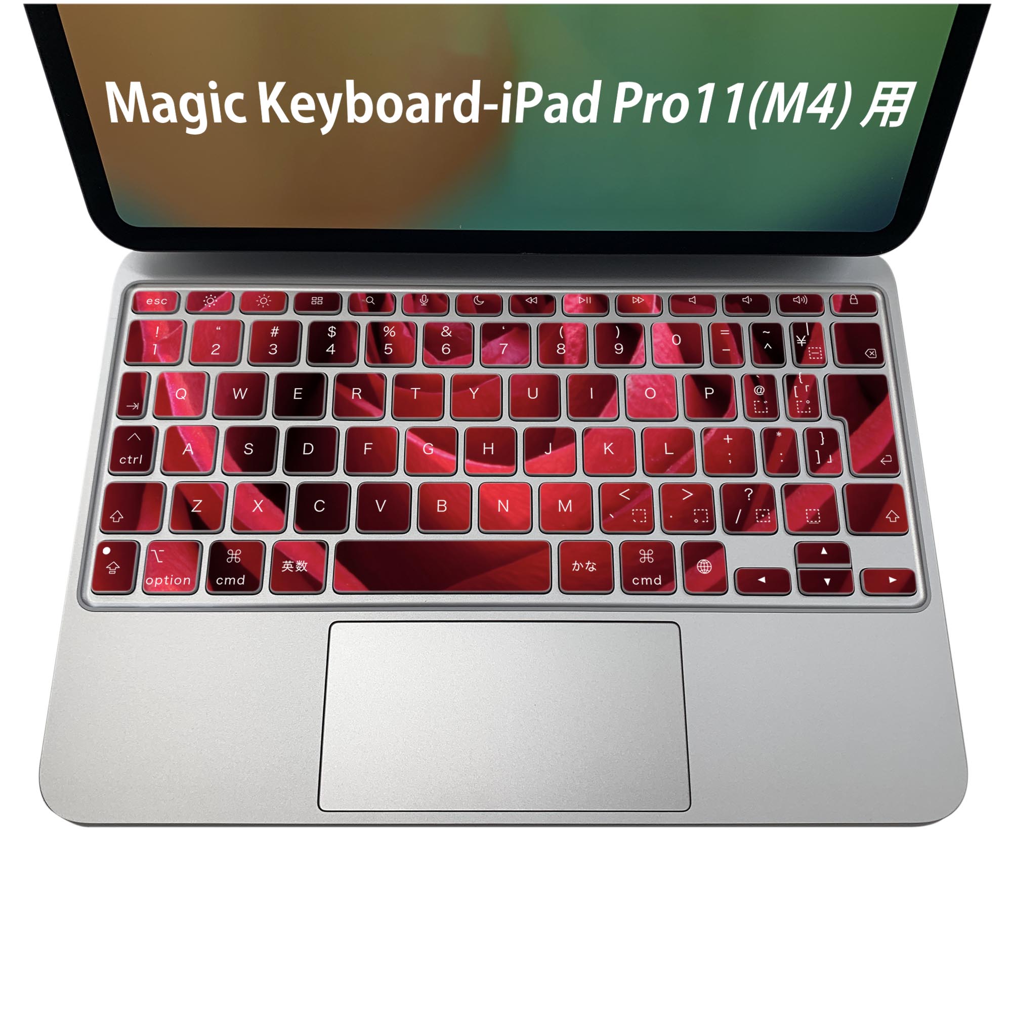 Magic Keyboard 専用 iPadPro11inch 13inch(M4) 2024 第5世代 対応 キーボード用スキンシール キートップ ステッカー アイパッド ノートパソコン アクセサリー 保護 020806 マスクデザイン 宇宙 惑星 薔薇 花 000825