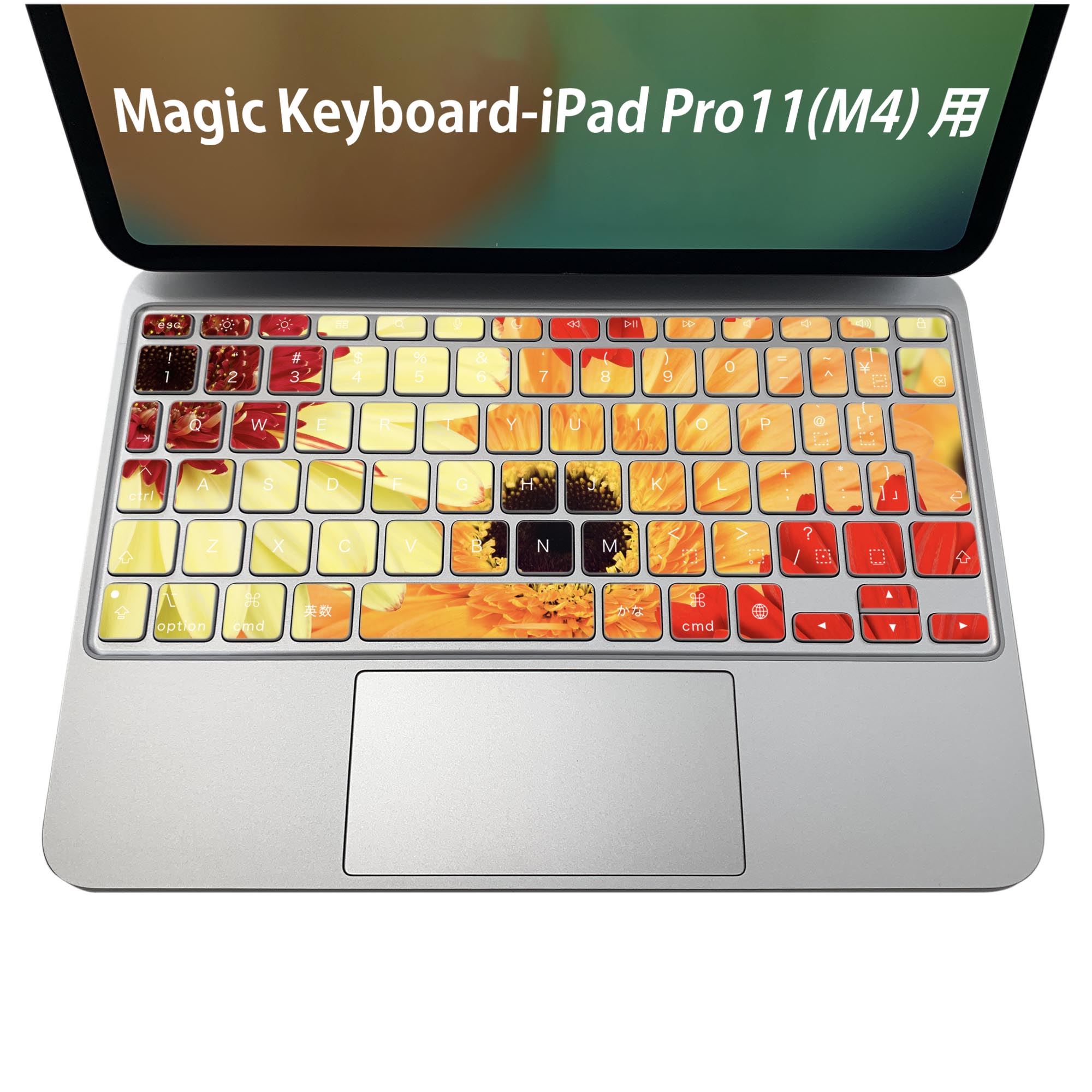 商品特徴・貼るだけでおしゃれに簡単着せ替え、iPadPro11・13（M4）Magic Keyboard KeyTop &nbsp; 全面デザインスキンシール！組み合わせ自由に選べるセット売り！・高精細プリントで写真と遜色がない仕上がり！ ・ちょっとしたすり傷から端末を保護！・エアフリー素材で気泡の心配も軽減！・貼り直しOK！位置調整も安心！注意事項画像はサンプルです。ご覧の環境によっては多少色味に違いを感じる場合がございます。 イメージと違った、モニターと色味が異なるという理由での交換や返金はご対応出来かねます。端末本体やクリアケースは付属しません。貼付時のずれやカメラ周りの凹凸を考慮してカメラ穴等は少し大きめにカットしています。貼付の際はカメラ穴を基準に位置を合わせてください。カメラ付近の何もないように見える場所に穴が開いていますが、こちらは近接・明るさ感知センサー用の穴です。端末本体に直接貼ることを想定しています。保護フィルムなどの上から貼ると上手く貼れない可能性があります初回貼付時の位置調整や貼り直しは可能ですが、しっかり接着させた後の貼り直しは保証しておりません。こちらは無地のシートにプリントした商品で、デコなどの加工はございません。 凹凸や光沢があるように見えたり布地や金属を素材にしたように見える商品もありますが、図版によるものです。印刷カメラ穴の位置にわずかなズレが生じる場合がございます。ご注文後に1点1点制作する受注生産品のため、不良品以外のご返品や交換は固くお断り致します。 機種間違いも保証対象外となりますため、ご注文の際は必ず機種をご確認下さい。発送について完全受注生産のハンドメイド商品となりますので、既製品と比べて発送までお時間を頂いています。 基本的に決済確認後、2〜3営業日、最大で5営業日での発送となります。繁忙期や休業日明けの場合はさらに時間がかかる場合があります。 その際には別途メールにてご連絡致します。メール便の場合、発送日から到着までに2〜4日ほどかかる場合が多く、紛失などの保障もご対応できかねます。あらかじめご了承下さい。