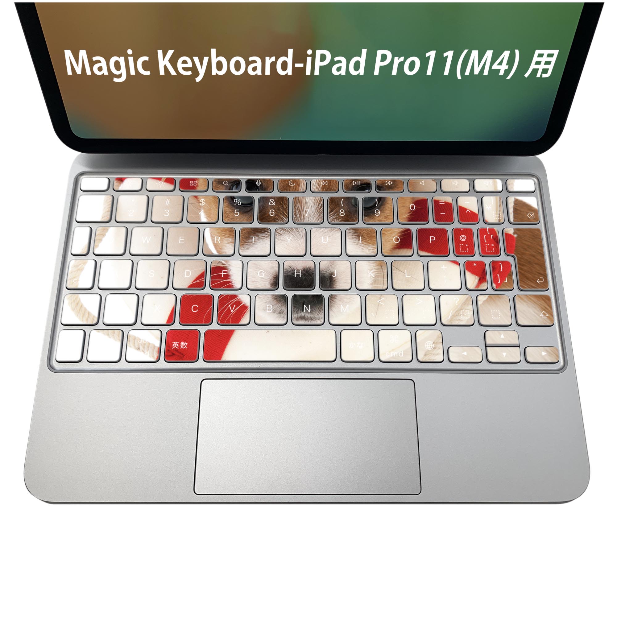 商品特徴・貼るだけでおしゃれに簡単着せ替え、iPadPro11・13（M4）Magic Keyboard KeyTop &nbsp; 全面デザインスキンシール！組み合わせ自由に選べるセット売り！・高精細プリントで写真と遜色がない仕上がり！ ・ちょっとしたすり傷から端末を保護！・エアフリー素材で気泡の心配も軽減！・貼り直しOK！位置調整も安心！注意事項画像はサンプルです。ご覧の環境によっては多少色味に違いを感じる場合がございます。 イメージと違った、モニターと色味が異なるという理由での交換や返金はご対応出来かねます。端末本体やクリアケースは付属しません。貼付時のずれやカメラ周りの凹凸を考慮してカメラ穴等は少し大きめにカットしています。貼付の際はカメラ穴を基準に位置を合わせてください。カメラ付近の何もないように見える場所に穴が開いていますが、こちらは近接・明るさ感知センサー用の穴です。端末本体に直接貼ることを想定しています。保護フィルムなどの上から貼ると上手く貼れない可能性があります初回貼付時の位置調整や貼り直しは可能ですが、しっかり接着させた後の貼り直しは保証しておりません。こちらは無地のシートにプリントした商品で、デコなどの加工はございません。 凹凸や光沢があるように見えたり布地や金属を素材にしたように見える商品もありますが、図版によるものです。印刷カメラ穴の位置にわずかなズレが生じる場合がございます。ご注文後に1点1点制作する受注生産品のため、不良品以外のご返品や交換は固くお断り致します。 機種間違いも保証対象外となりますため、ご注文の際は必ず機種をご確認下さい。発送について完全受注生産のハンドメイド商品となりますので、既製品と比べて発送までお時間を頂いています。 基本的に決済確認後、2〜3営業日、最大で5営業日での発送となります。繁忙期や休業日明けの場合はさらに時間がかかる場合があります。 その際には別途メールにてご連絡致します。メール便の場合、発送日から到着までに2〜4日ほどかかる場合が多く、紛失などの保障もご対応できかねます。あらかじめご了承下さい。