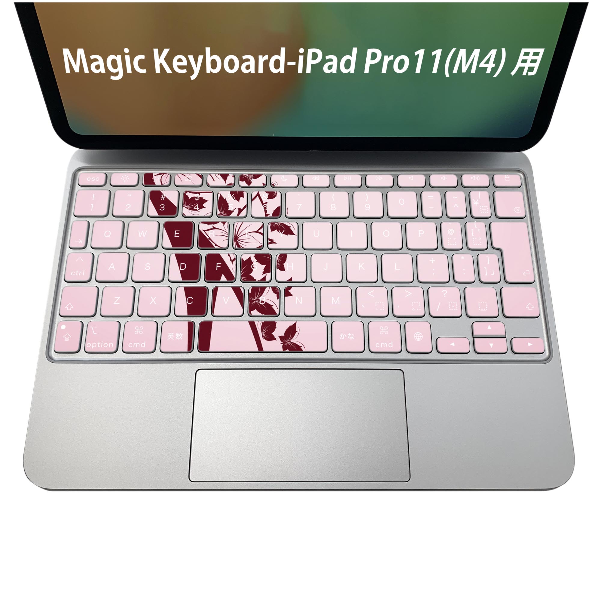 Magic Keyboard 専用 iPadPro11inch 13inch(M4) 2024 第5世代 対応 キーボード用スキンシール キートップ ステッカー アイパッド ノートパソコン アクセサリー 保護 020806 マスクデザイン 宇宙 惑星 ヒール パンプス 靴 蝶 001579