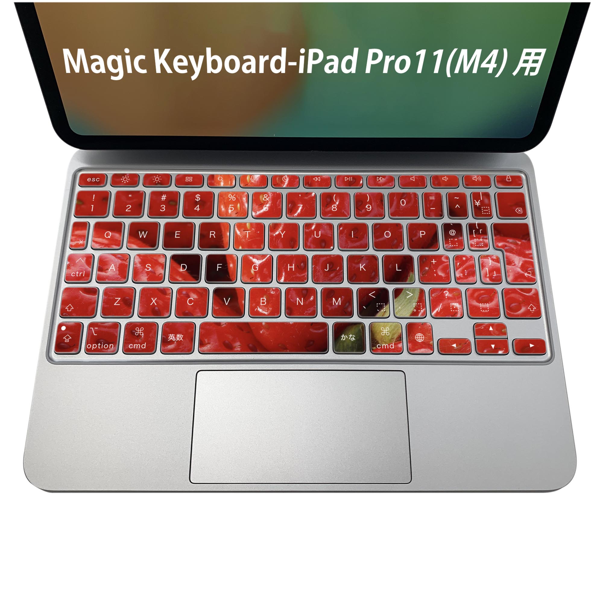 Magic Keyboard 専用 iPadPro11inch 13inch(M4) 2024 第5世代 対応 キーボード用スキンシール キートップ ステッカー アイパッド ノートパソコン アクセサリー 保護 020806 マスクデザイン 宇宙 惑星 苺 果実 001592