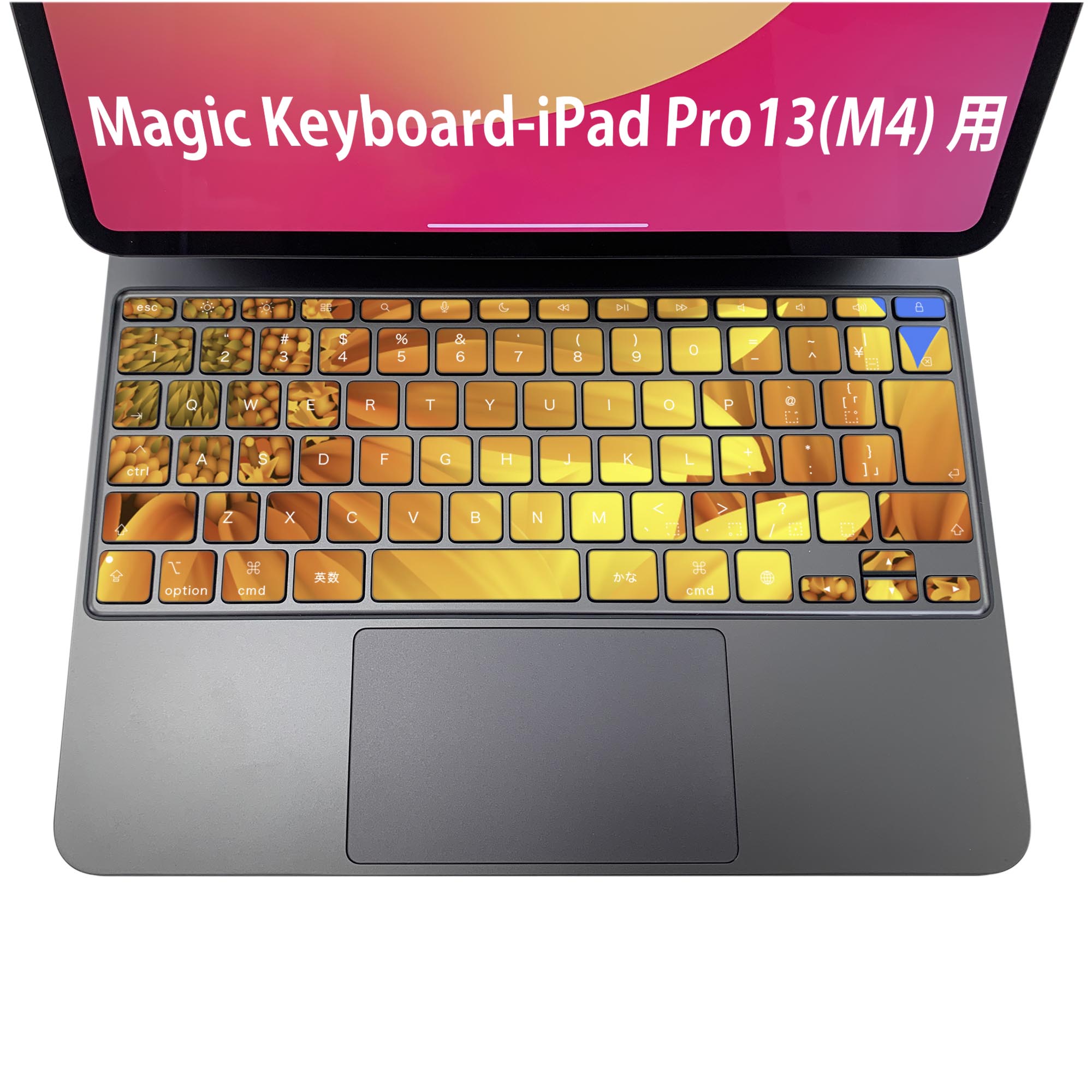 Magic Keyboard 専用 iPadPro11inch 13inch(M4) 2024 第5世代 対応 キーボード用スキンシール キートップ ステッカー アイパッド ノートパソコン アクセサリー 保護 020806 マスクデザイン 宇宙 惑星 ひまわり　001397