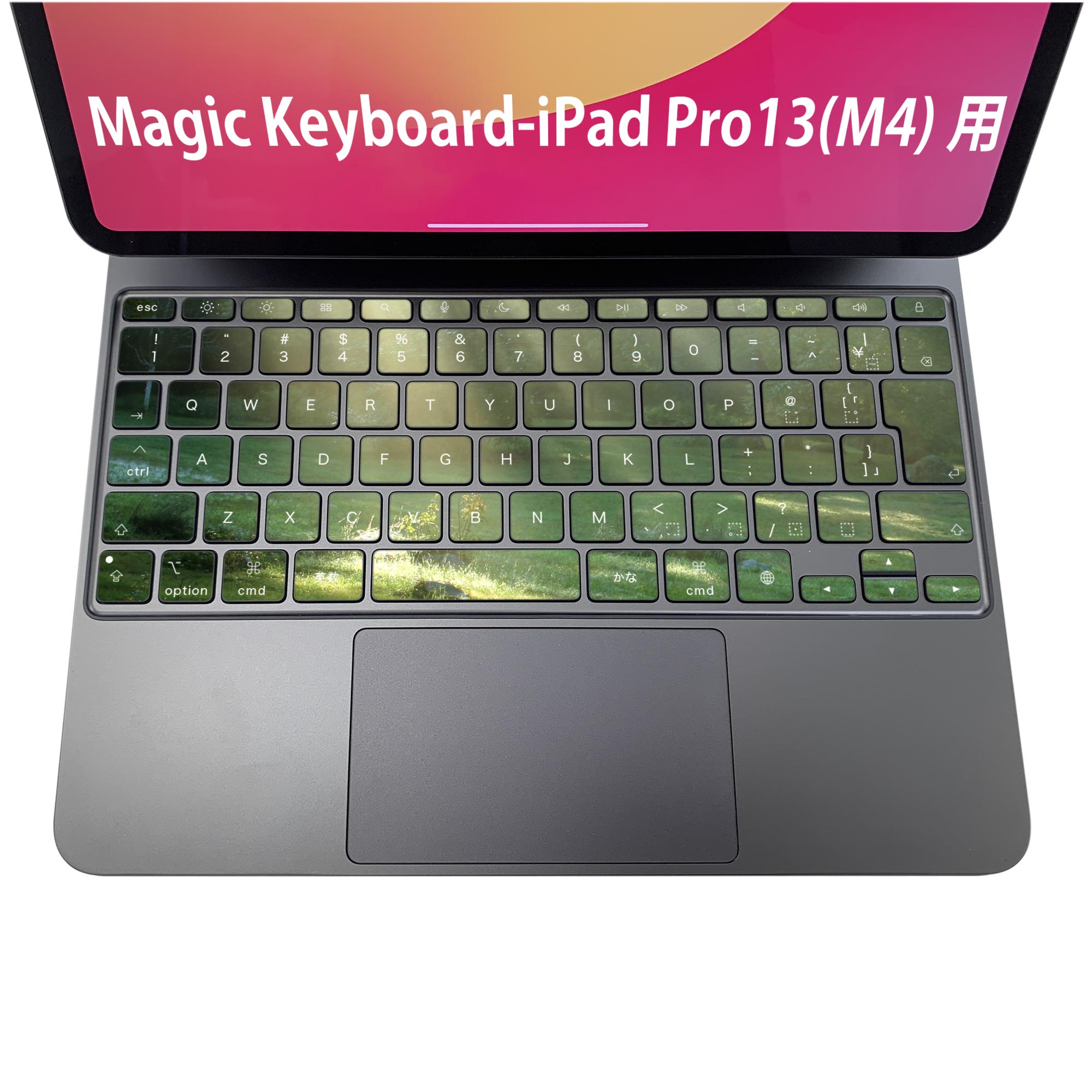Magic Keyboard 専用 iPadPro11inch 13inch(M4) 2024 第5世代 対応 キーボード用スキンシール キートップ ステッカー アイパッド ノートパソコン アクセサリー 保護 020806 マスクデザイン 宇宙 惑星 森　写真　景色　004644