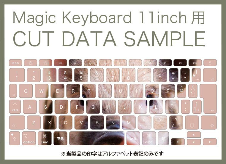 Magic Keyboard 専用 iPadPro11inch 13inch(M4) 2024 第5世代 対応 キーボード用スキンシール キートップ ステッカー アイパッド ノートパソコン アクセサリー 保護 020806 マスクデザイン 宇宙 惑星 動物　豚　ブタ　026057