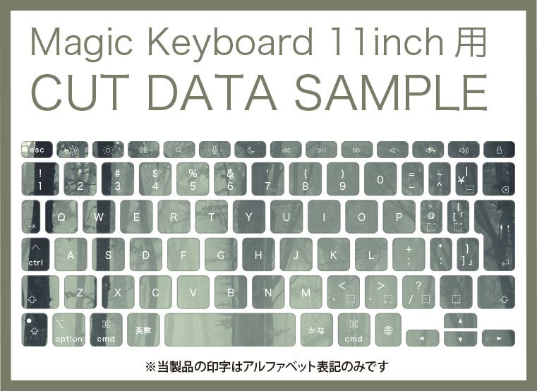 Magic Keyboard 専用 iPadPro11inch 13inch(M4) 2024 第5世代 対応 キーボード用スキンシール キートップ ステッカー アイパッド ノートパソコン アクセサリー 保護 020806 マスクデザイン 宇宙 惑星 写真　森　林　005899
