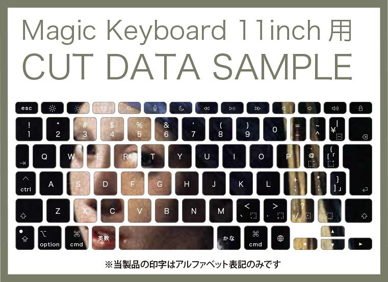 Magic Keyboard 専用 iPadPro11inch 13inch(M4) 2024 第5世代 対応 キーボード用スキンシール キートップ ステッカー アイパッド ノートパソコン アクセサリー 保護 020806 マスクデザイン 宇宙 惑星 イラスト　人物　絵画　011470