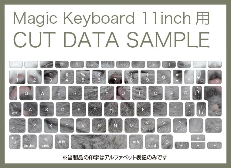 Magic Keyboard 専用 iPadPro11inch 13inch(M4) 2024 第5世代 対応 キーボード用スキンシール キートップ ステッカー アイパッド ノートパソコン アクセサリー 保護 020806 マスクデザイン 宇宙 惑星 猫　動物　写真　011682