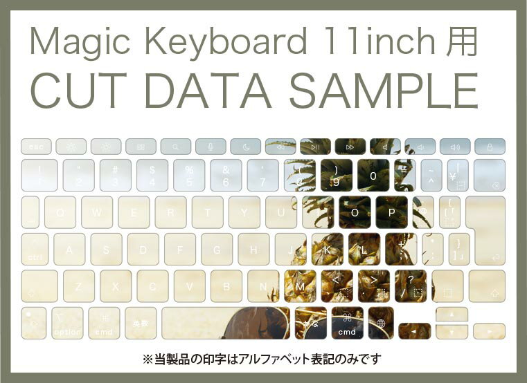 Magic Keyboard 専用 iPadPro11inch 13inch(M4) 2024 第5世代 対応 キーボード用スキンシール キートップ ステッカー アイパッド ノートパソコン アクセサリー 保護 020806 マスクデザイン 宇宙 惑星 夏　海　パイナップル　砂浜　014841