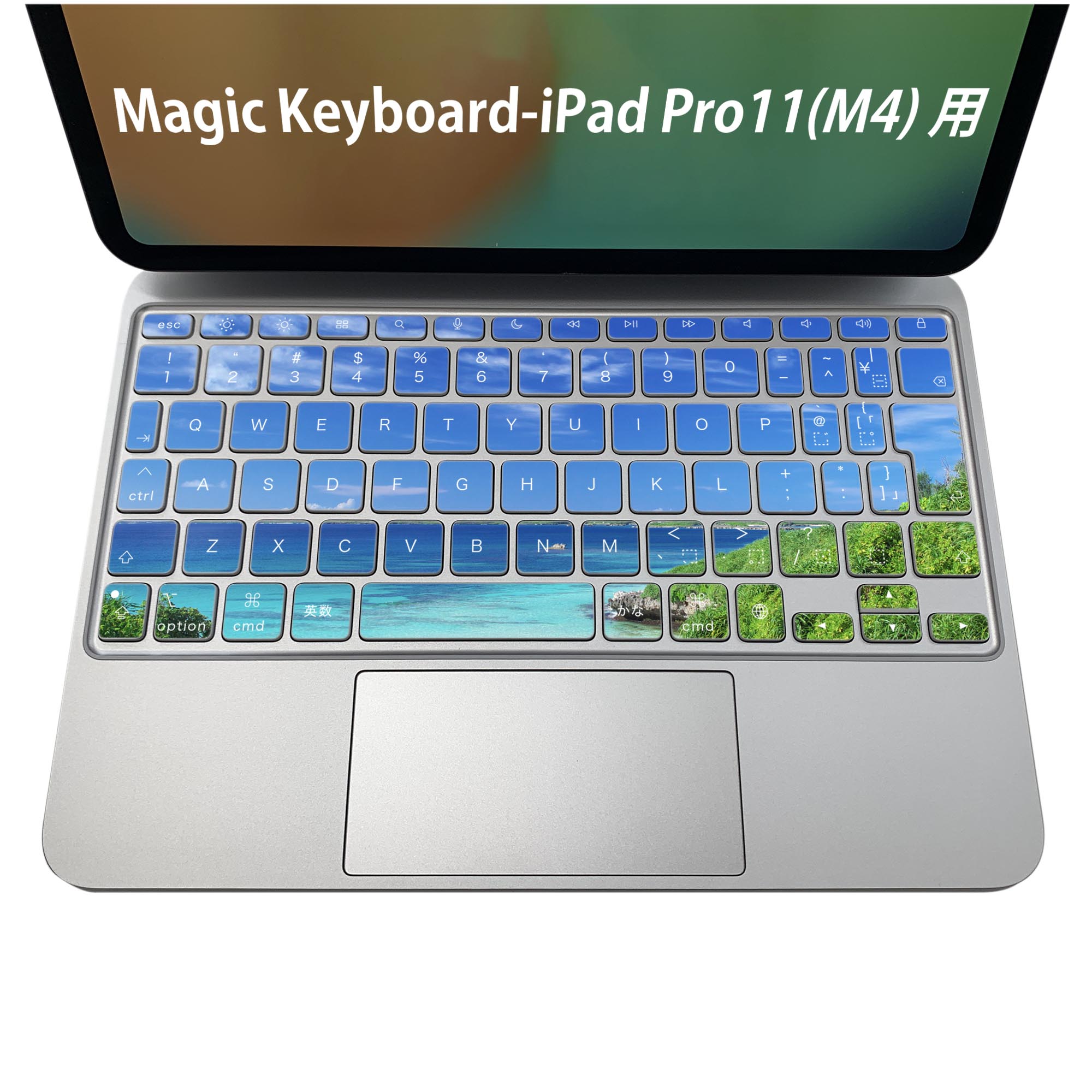 Magic Keyboard 専用 iPadPro11inch 13inch(M4) 2024 第5世代 対応 キーボード用スキンシール キートップ ステッカー アイパッド ノー..