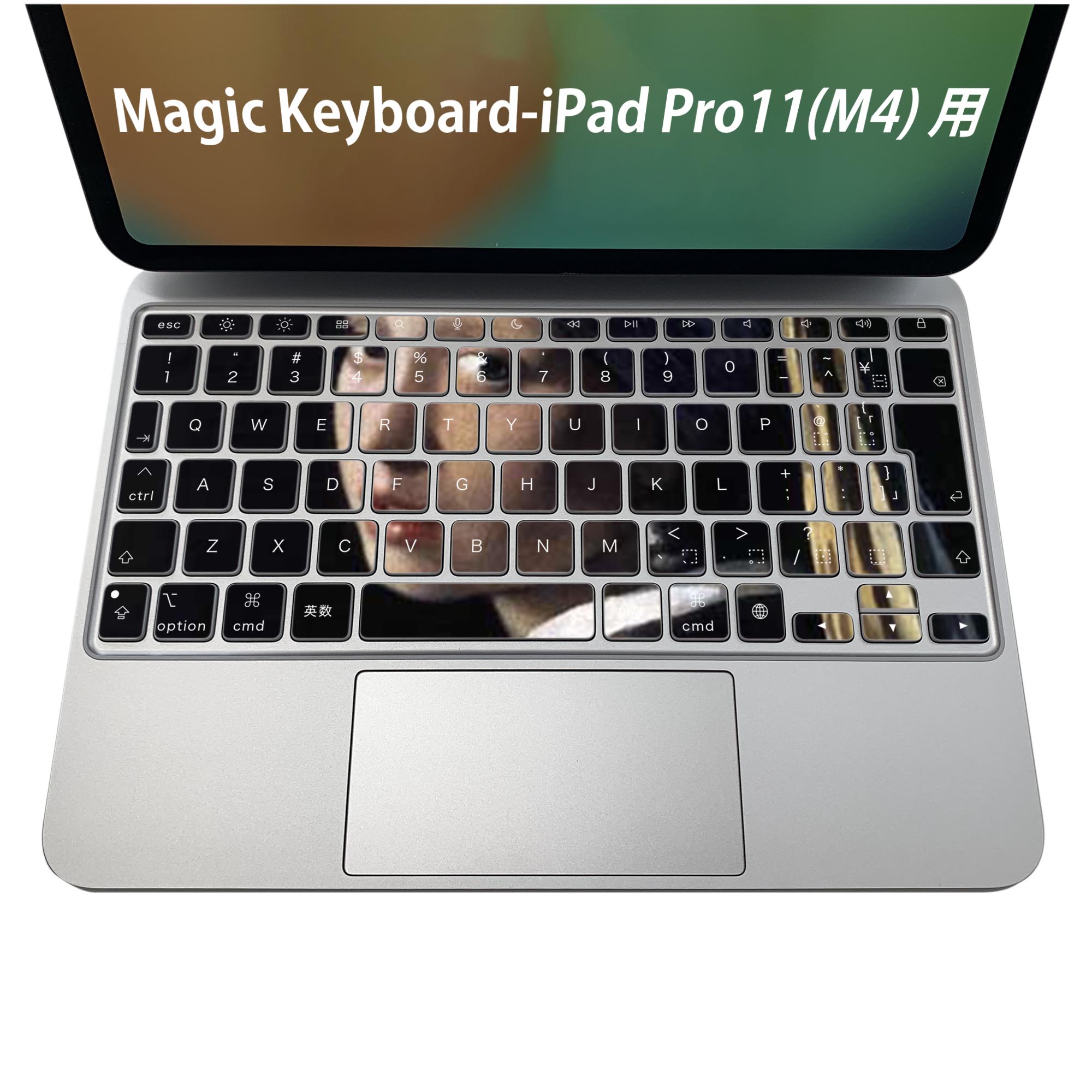 Magic Keyboard 専用 iPadPro11inch 13inch(M4) 2024 第5世代 対応 キーボード用スキンシール キートップ ステッカー アイパッド ノートパソコン アクセサリー 保護 020806 マスクデザイン 宇宙 惑星 人物 絵画 イラスト 003190