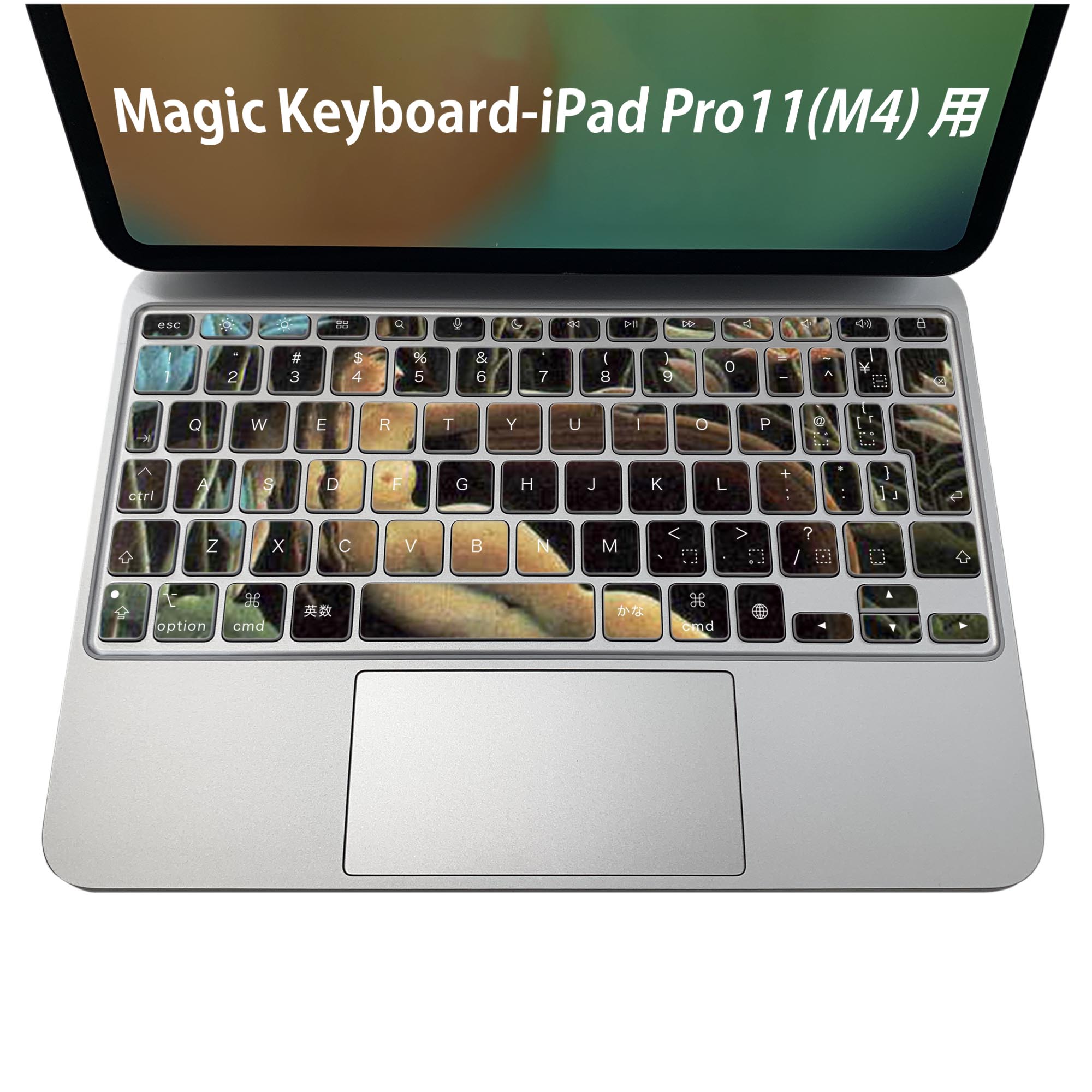 Magic Keyboard 専用 iPadPro11inch 13inch(M4) 2024 第5世代 対応 キーボード用スキンシール キートップ ステッカー アイパッド ノートパソコン アクセサリー 保護 020806 マスクデザイン 宇宙 惑星 人物　絵画　イラスト　003241