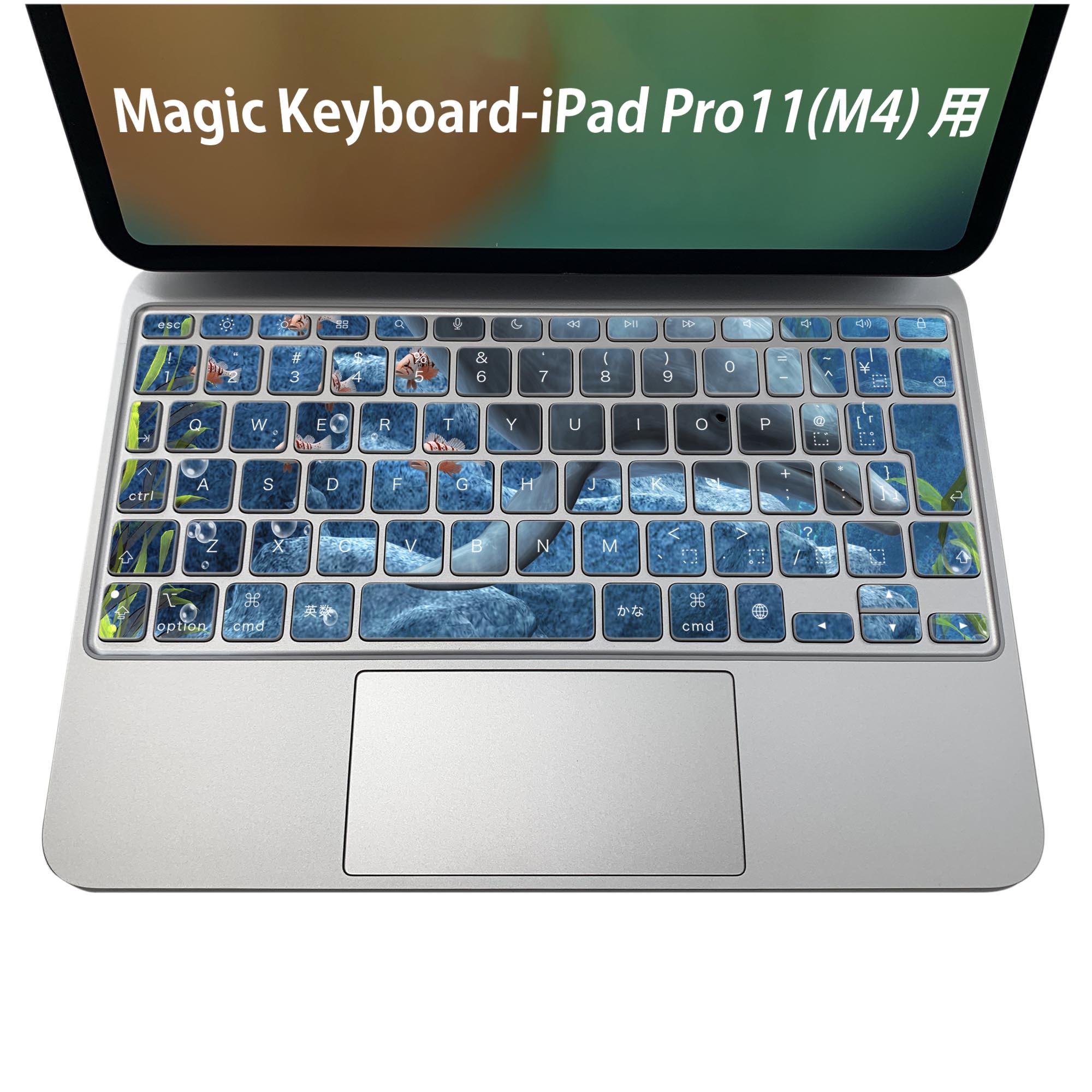 Magic Keyboard 専用 iPadPro11inch 13inch(M4) 2024 第5世代 対応 キーボード用スキンシール キートップ ステッカー アイパッド ノートパソコン アクセサリー 保護 020806 マスクデザイン 宇宙 惑星 動物 海 イラスト 003345