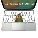 Magic Keyboard 専用 iPadPro11inch 13inch(M4) 2024 第5世代 対応 キーボード用スキンシール キートップ ステッカー アイパッド ノートパソコン アクセサリー 保護 020806 マスクデザイン 宇宙 惑星 虫 great diving beetle エゾゲンゴロウ 020026