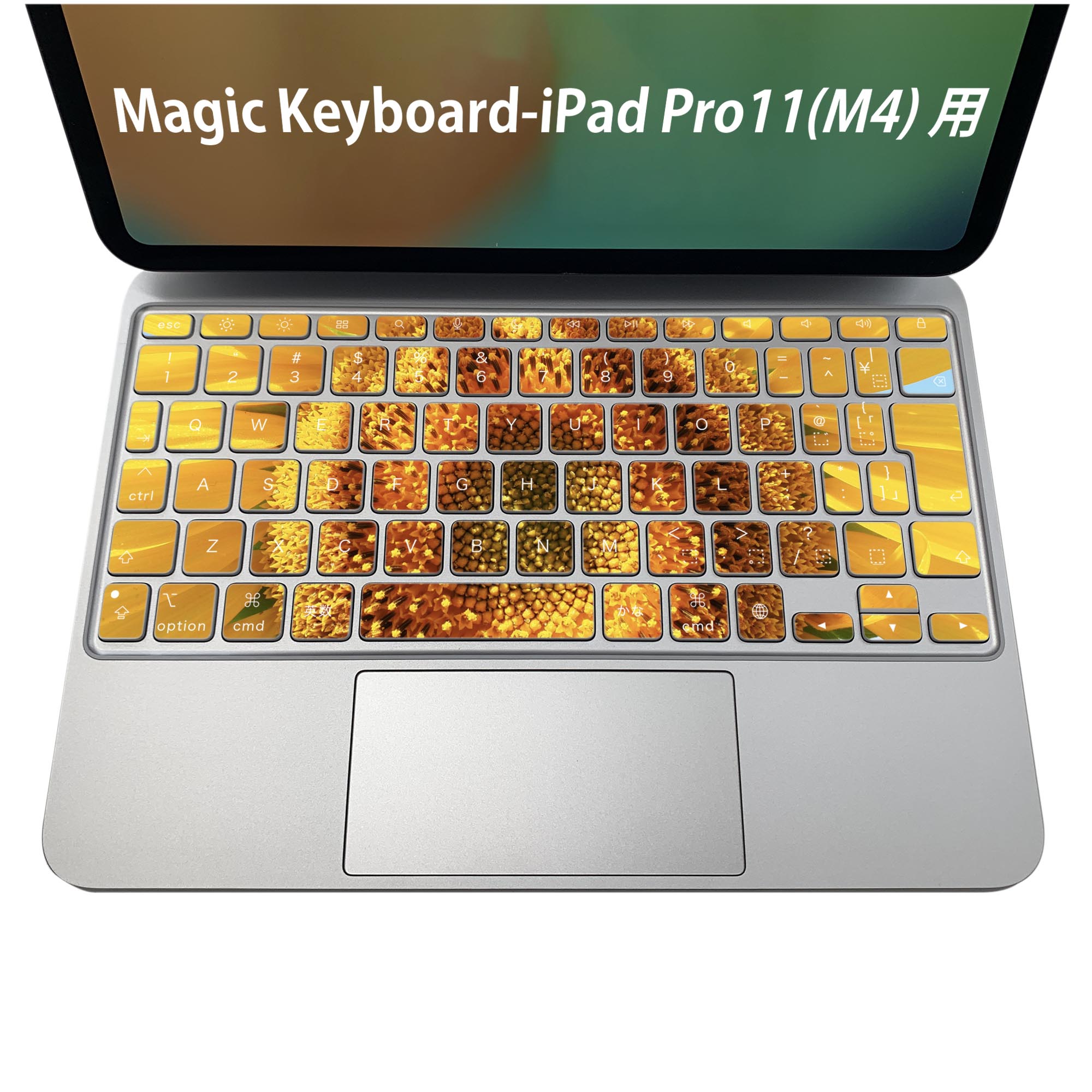 Magic Keyboard 専用 iPadPro11inch 13inch(M4) 2024 第5世代 対応 キーボード用スキンシール キートップ ステッカー アイパッド ノートパソコン アクセサリー 保護 020806 マスクデザイン 宇宙 惑星 花 フラワー ひまわり 023849