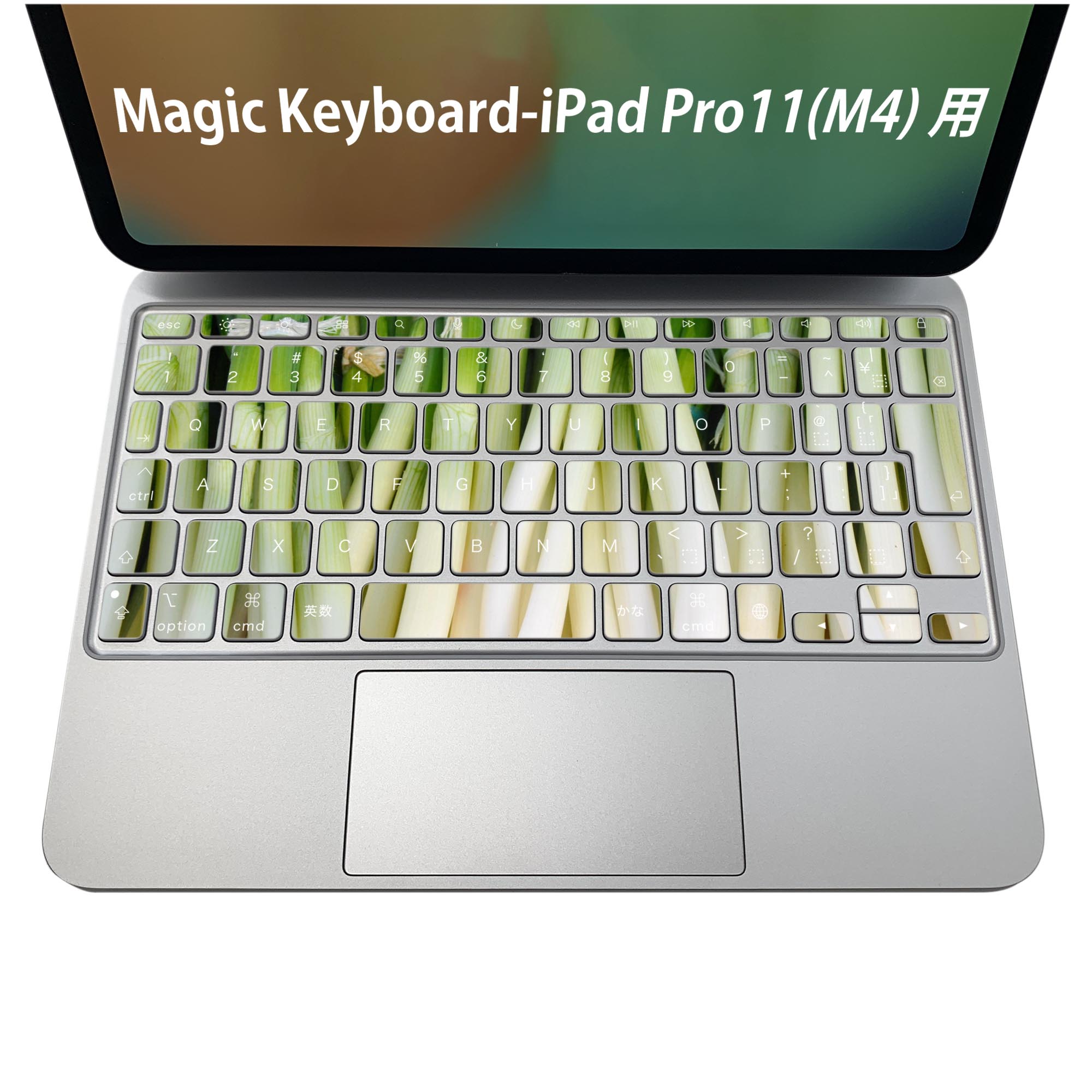 Magic Keyboard 専用 iPadPro11inch 13inch(M4) 2024 第5世代 対応 キーボード用スキンシール キートップ ステッカー アイパッド ノートパソコン アクセサリー 保護 020806 マスクデザイン 宇宙 惑星 野菜　ネギ　写真　025602