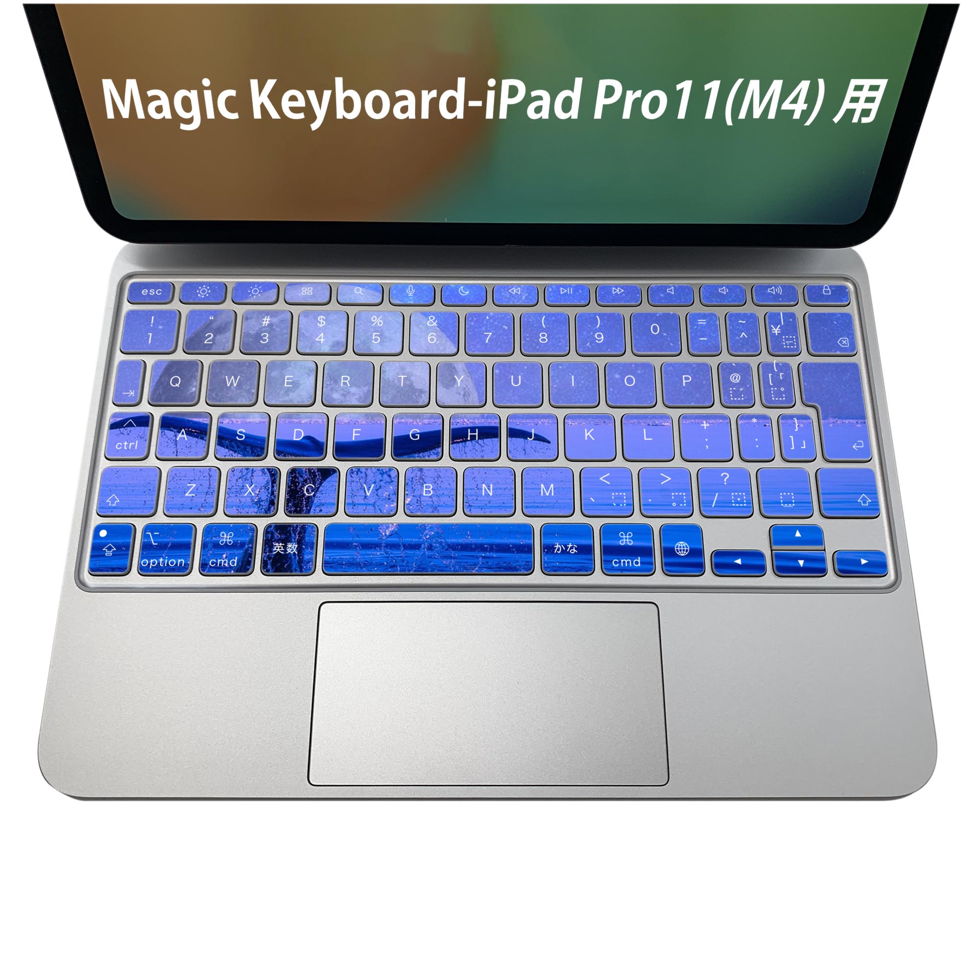 Magic Keyboard 専用 iPadPro11inch 13inch(M4) 2024 第5世代 対応 キーボード用スキンシール キートップ ステッカー アイパッド ノートパソコン アクセサリー 保護 020806 マスクデザイン 宇宙 惑星 くじら　月　海　夜空　025675