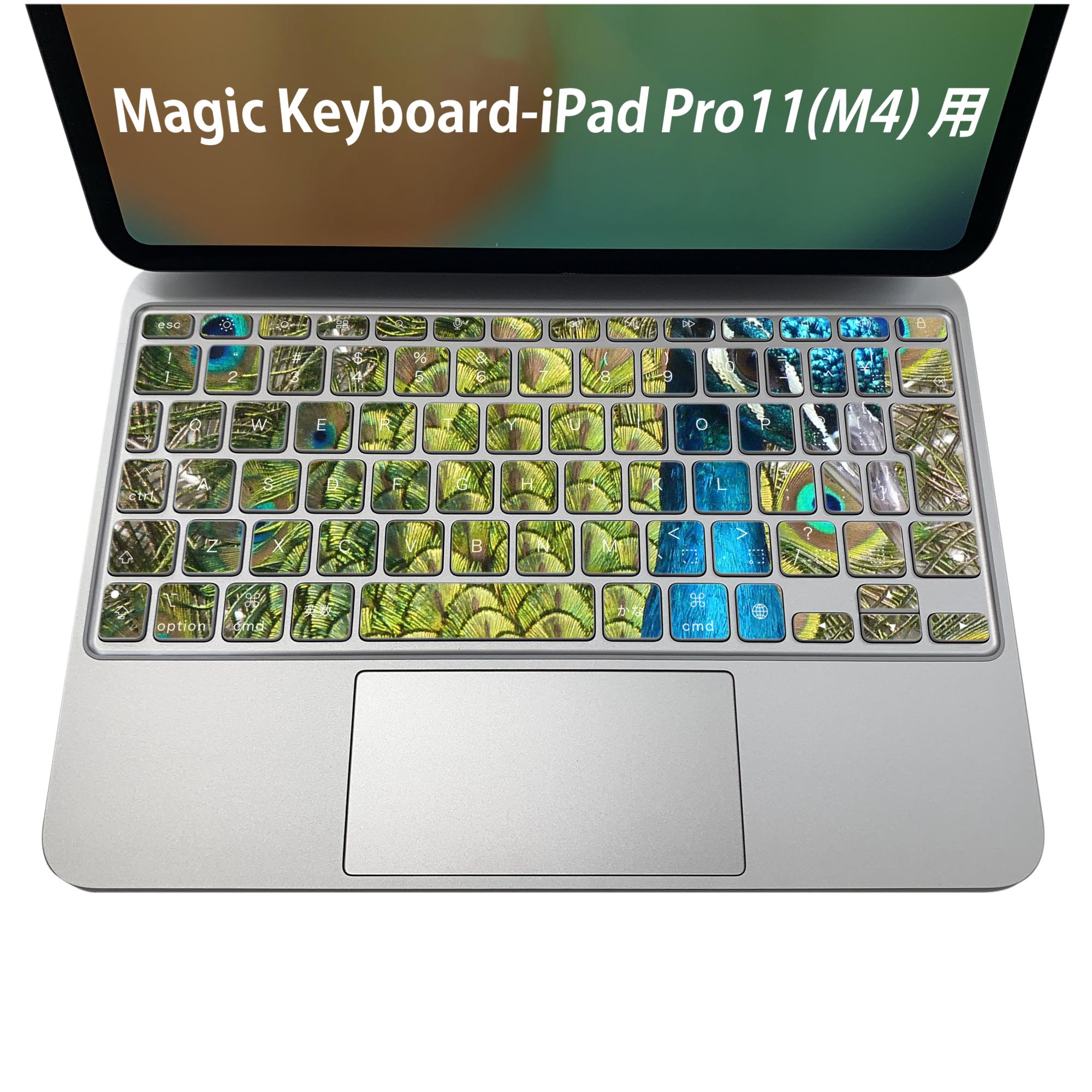 商品特徴・貼るだけでおしゃれに簡単着せ替え、iPadPro11・13（M4）Magic Keyboard KeyTop &nbsp; 全面デザインスキンシール！組み合わせ自由に選べるセット売り！・高精細プリントで写真と遜色がない仕上がり！ ・ちょっとしたすり傷から端末を保護！・エアフリー素材で気泡の心配も軽減！・貼り直しOK！位置調整も安心！注意事項画像はサンプルです。ご覧の環境によっては多少色味に違いを感じる場合がございます。 イメージと違った、モニターと色味が異なるという理由での交換や返金はご対応出来かねます。端末本体やクリアケースは付属しません。貼付時のずれやカメラ周りの凹凸を考慮してカメラ穴等は少し大きめにカットしています。貼付の際はカメラ穴を基準に位置を合わせてください。カメラ付近の何もないように見える場所に穴が開いていますが、こちらは近接・明るさ感知センサー用の穴です。端末本体に直接貼ることを想定しています。保護フィルムなどの上から貼ると上手く貼れない可能性があります初回貼付時の位置調整や貼り直しは可能ですが、しっかり接着させた後の貼り直しは保証しておりません。こちらは無地のシートにプリントした商品で、デコなどの加工はございません。 凹凸や光沢があるように見えたり布地や金属を素材にしたように見える商品もありますが、図版によるものです。印刷カメラ穴の位置にわずかなズレが生じる場合がございます。ご注文後に1点1点制作する受注生産品のため、不良品以外のご返品や交換は固くお断り致します。 機種間違いも保証対象外となりますため、ご注文の際は必ず機種をご確認下さい。発送について完全受注生産のハンドメイド商品となりますので、既製品と比べて発送までお時間を頂いています。 基本的に決済確認後、2〜3営業日、最大で5営業日での発送となります。繁忙期や休業日明けの場合はさらに時間がかかる場合があります。 その際には別途メールにてご連絡致します。メール便の場合、発送日から到着までに2〜4日ほどかかる場合が多く、紛失などの保障もご対応できかねます。あらかじめご了承下さい。