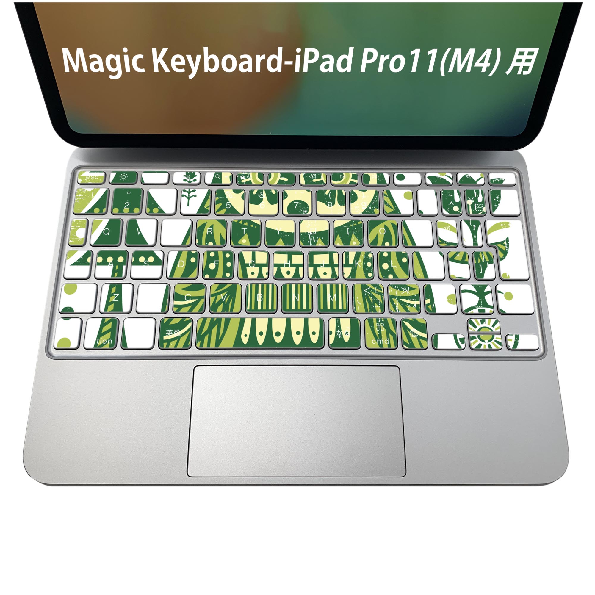 Magic Keyboard 専用 iPadPro11inch 13inch(M4) 2024 第5世代 対応 キーボード用スキンシール キートップ ステッカー アイパッド ノートパソコン アクセサリー 保護 020806 マスクデザイン 宇宙 惑星 フクロウ　鳥　緑　004548