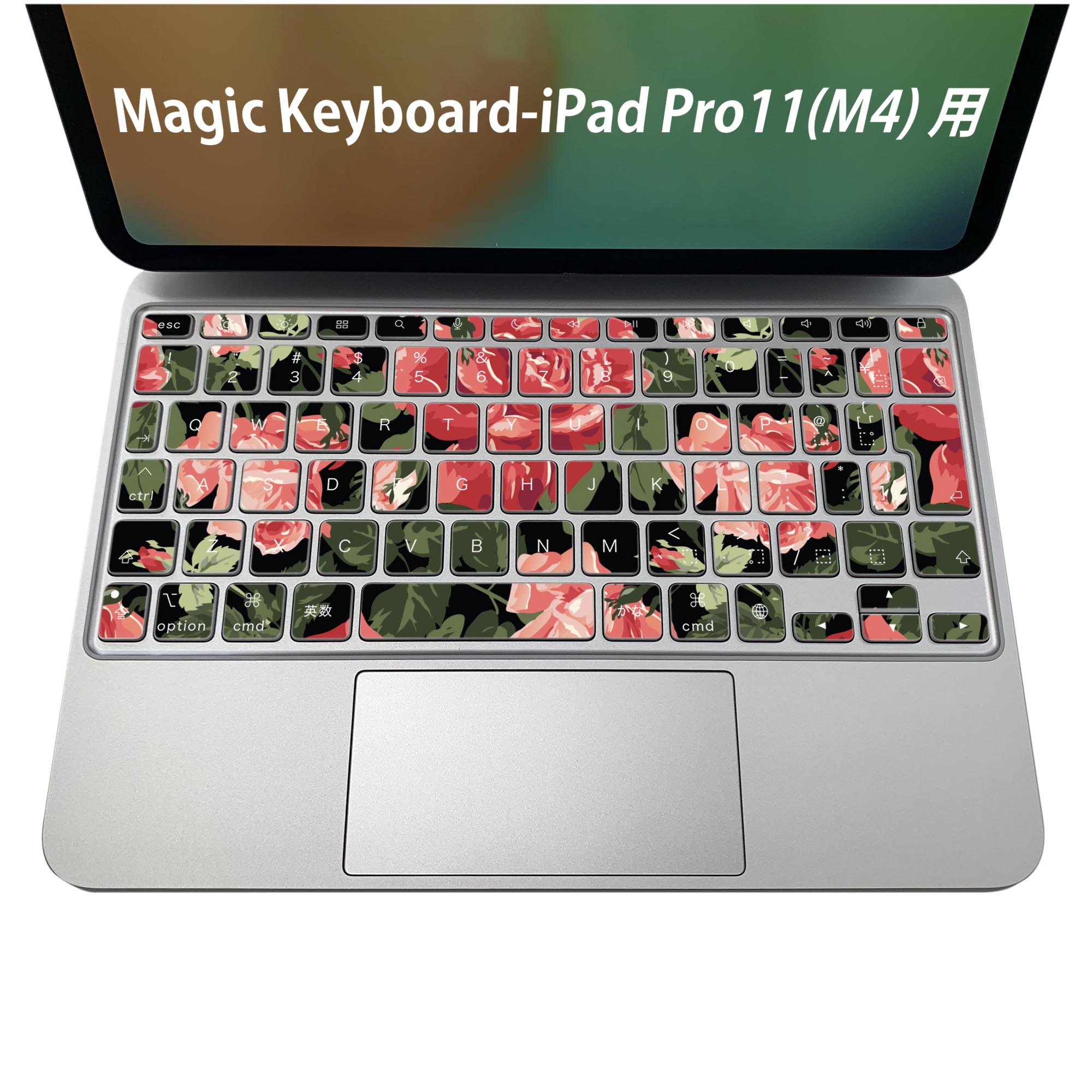 Magic Keyboard 専用 iPadPro11inch 13inch(M4) 2024 第5世代 対応 キーボード用ス...