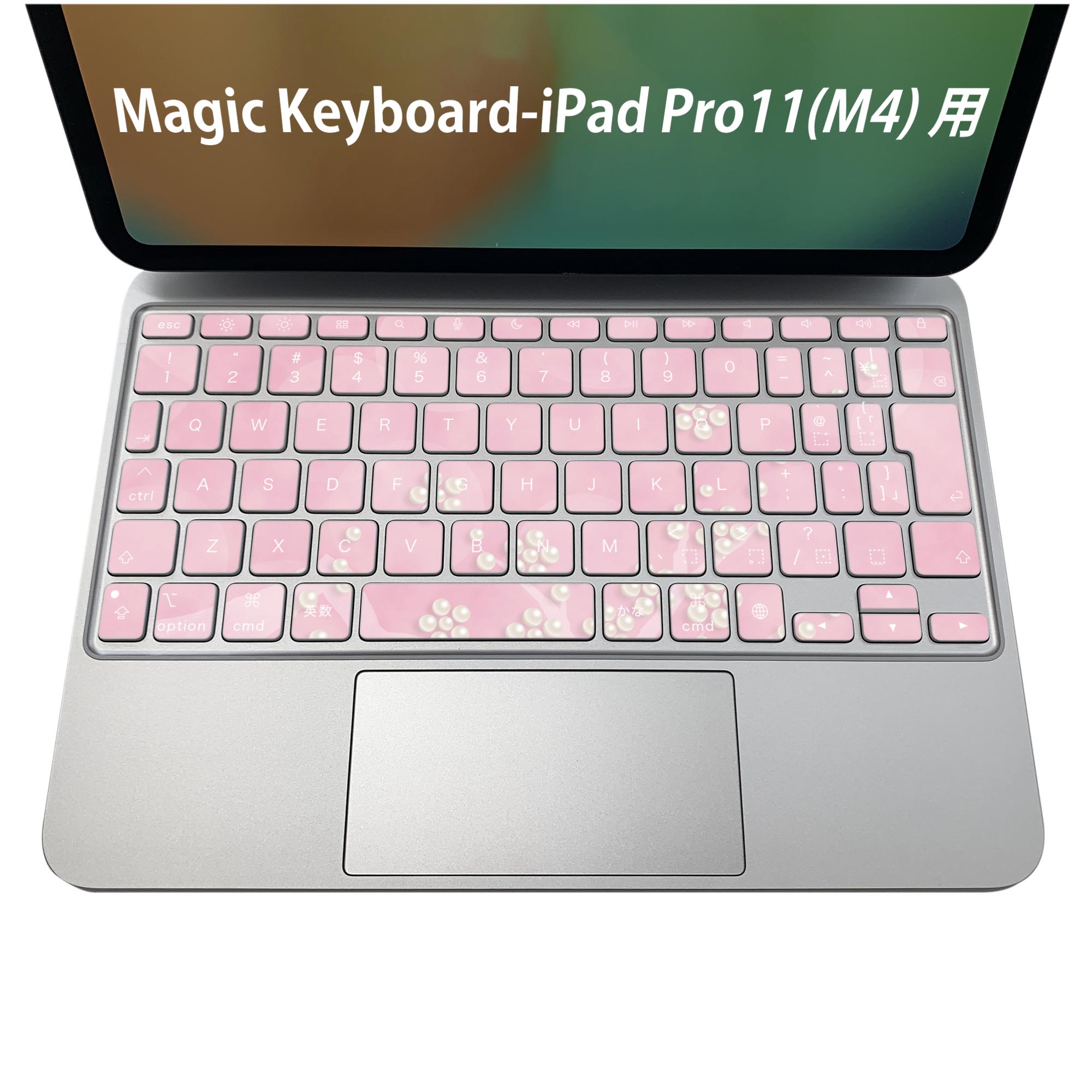 Magic Keyboard 専用 iPadPro11inch 13inch(M4) 2024 第5世代 対応 キーボード用スキンシール キートップ ステッカー アイパッド ノー..